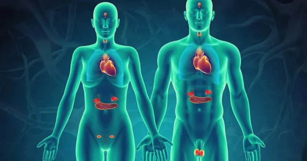 Zaburzenia hormonalne u kobiet – objawy, przyczyny i kiedy udać się do lekarza