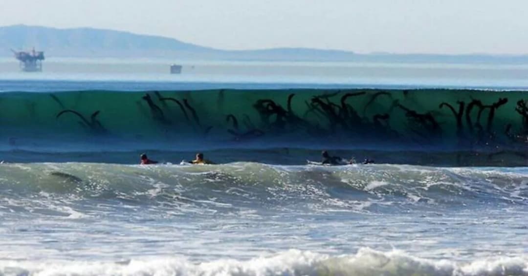 Talasofobia – czym jest lęk przed głęboką wodą i jak go pokonać?