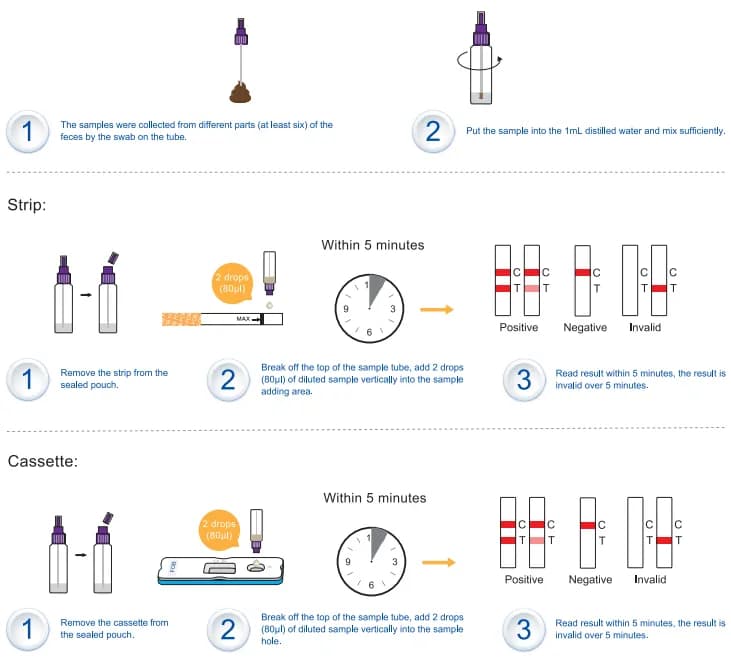 Jak wykonać test FOB w domu i uniknąć poważnych problemów zdrowotnych